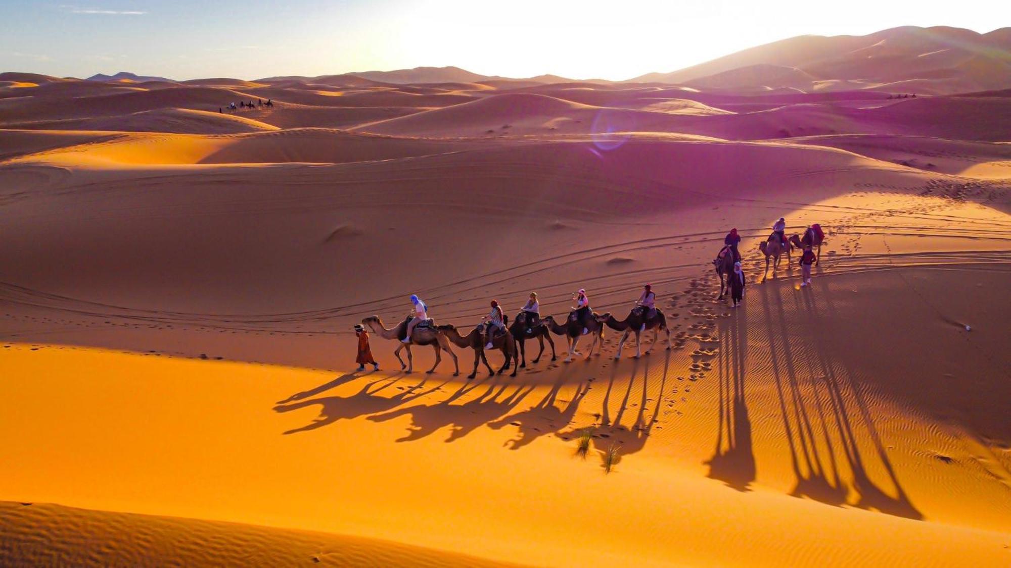 Palmas Camp Merzouga Exteriör bild
